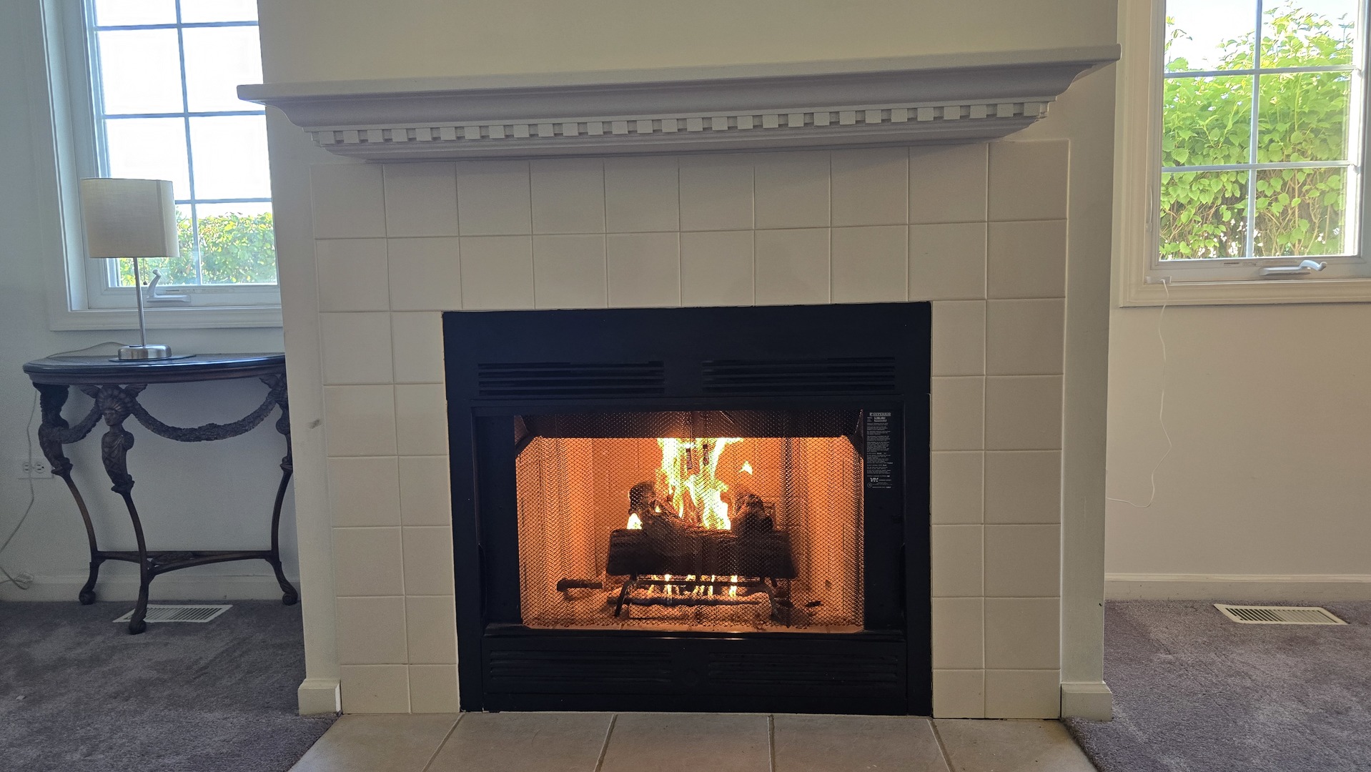 Residential in Tinley Park 3