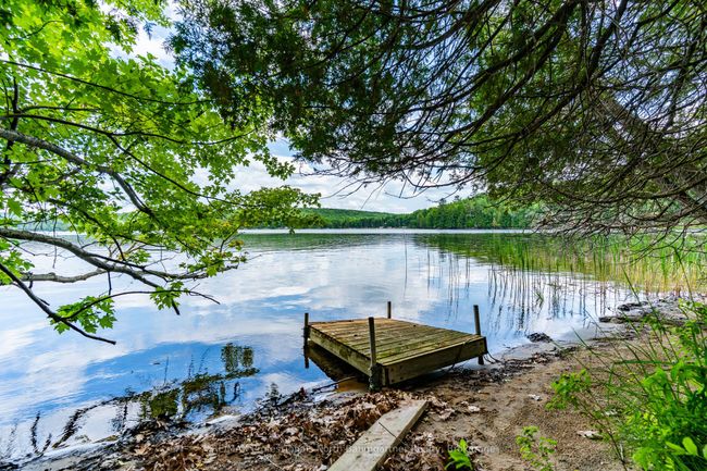 1230 N Shore Rd, House other with 2 bedrooms, 2 bathrooms and 9 parking in Algonquin Highlands ON | Image 5