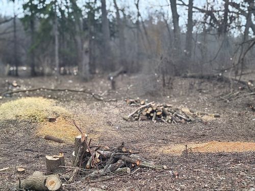 Lot 1 Asbury Ln, Cary, IL, 60013-1901 | Card Image