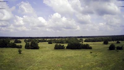 View of local wilderness featuring a rural view | Image 3