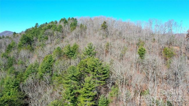 0000 Pine Log Rd, Home with 0 bedrooms, 0 bathrooms and null parking in Warne NC | Image 25