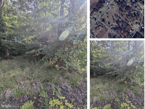 36788 Spring Dale Dr, BUSHWOOD, MD, 20618-2148 | Card Image