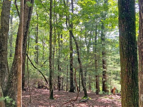 11AC Ts Jarrard Rd, Dahlonega, GA, 30533-2088 | Card Image