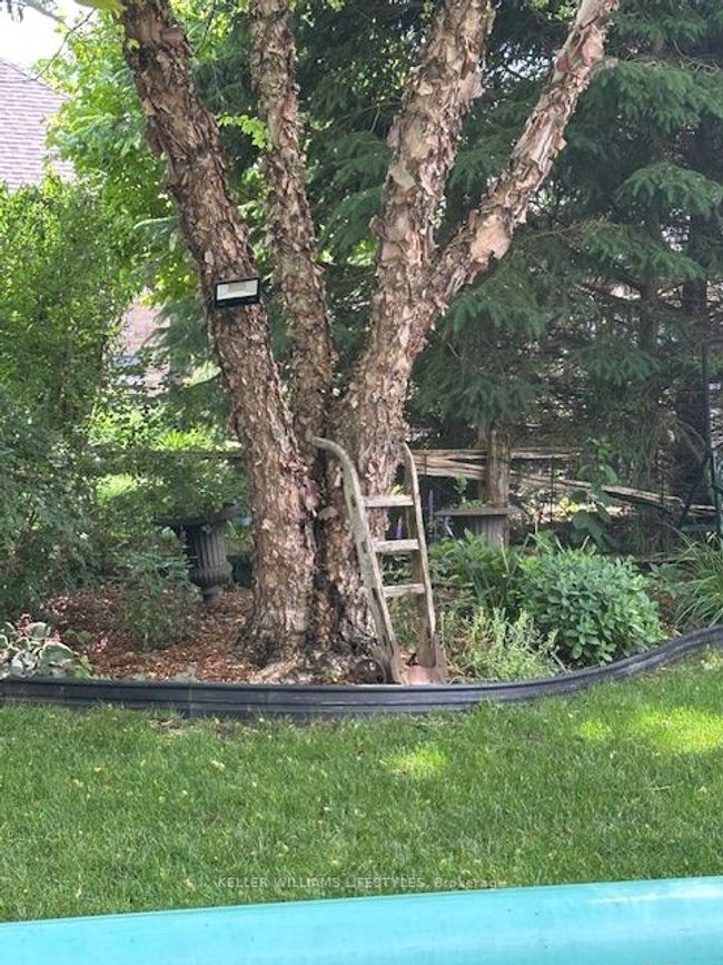 8 Dogwood Trail, House other with 5 bedrooms, 4 bathrooms and 4 parking in Ilderton ON | Image 50