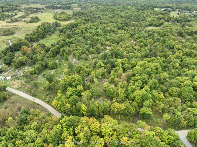 1147 Cronk Rd, Home with 0 bedrooms, 0 bathrooms and 4 parking in Parham ON | Image 22