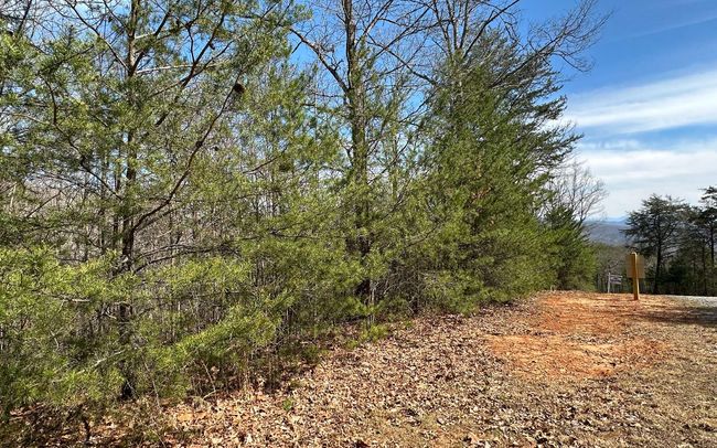 LT29 Wilderness Creek Way, Home with 0 bedrooms, 0 bathrooms and null parking in Murphy NC | Image 7