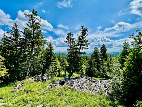 NHN Mcmannamy Draw, Kalispell, MT, 59901 | Card Image