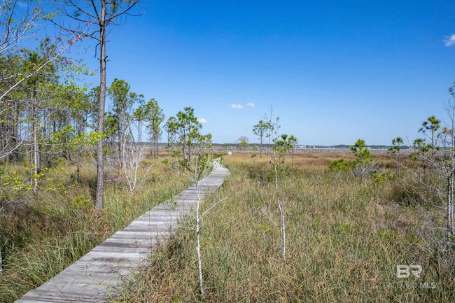 Nature trail | Image 53