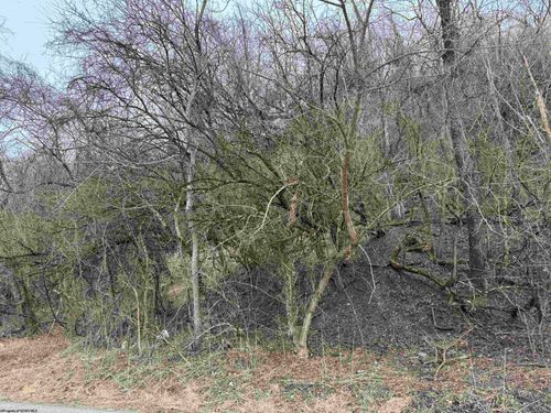 TBD Sugar Ln, Rivesville, WV, 26588 | Card Image