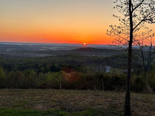 47.7 Crowd Rd, Danville, AL, 35619 | Card Image