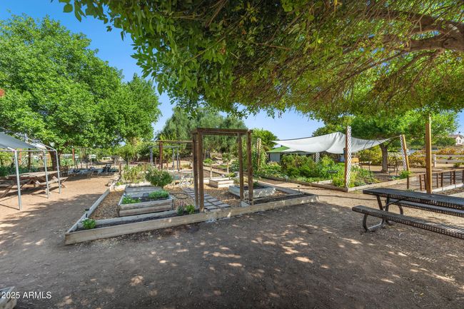 3102 E Agritopia Loop N, House other with 5 bedrooms, 5 bathrooms and null parking in Gilbert AZ | Image 62