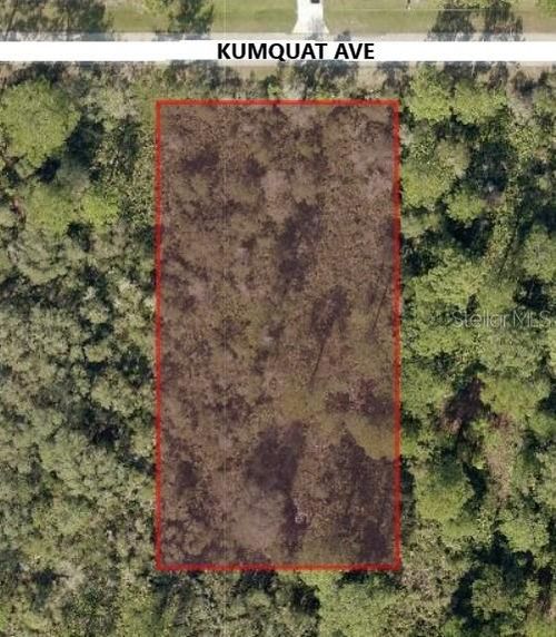 30610 Kumquat Ave, EUSTIS, FL, 32736-8144 | Card Image