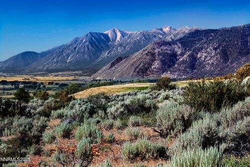343 James Canyon Loop, Genoa, NV, 89411-1573 | Card Image