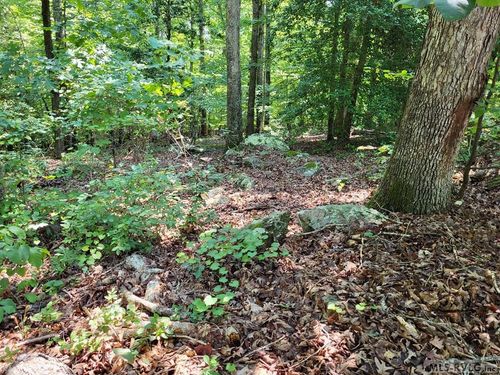 0 Weanock Ln, Ebony, VA, 23845 | Card Image