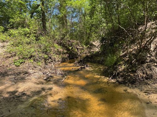 2954 Cr 2170, Grapeland, TX, 75844 | Card Image