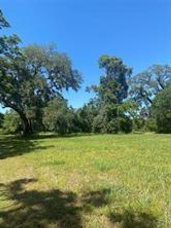 663 Pony Trl, Home with 0 bedrooms, 0 bathrooms and null parking in Angleton TX | Image 4