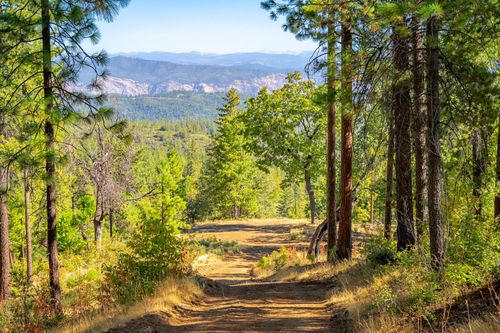 TBD Wagner Ridge Rd, Coulterville, CA, 95311 | Card Image