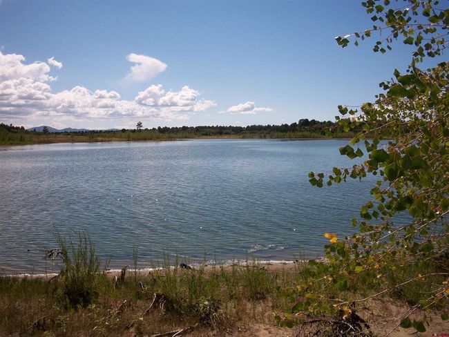 13989 Road 35.6, Home with 0 bedrooms, 0 bathrooms and null parking in Mancos CO | Image 5