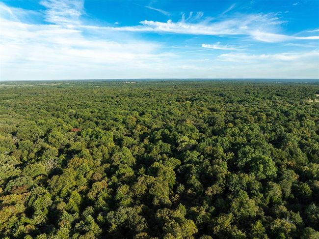 Birds eye view of property featuring a forest view | Image 26