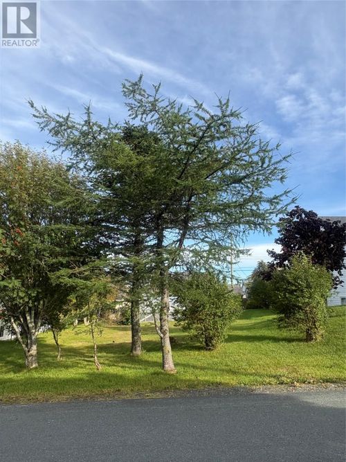 15 Cedar Drive, Home with 0 bedrooms, 0 bathrooms and null parking in St. John's NL | Card Image