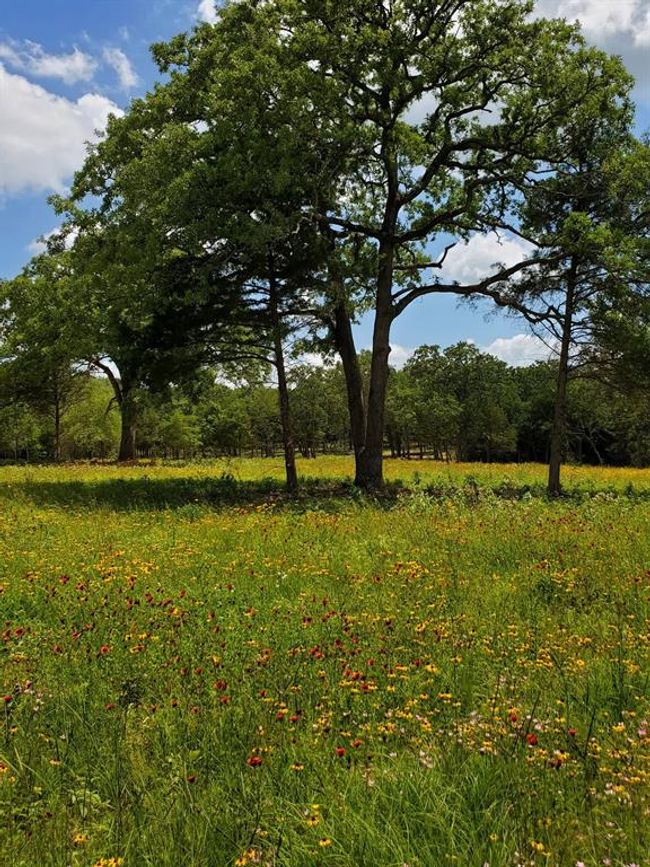 21 Cr 389, Home with 0 bedrooms, 0 bathrooms and null parking in Jewett TX | Image 6