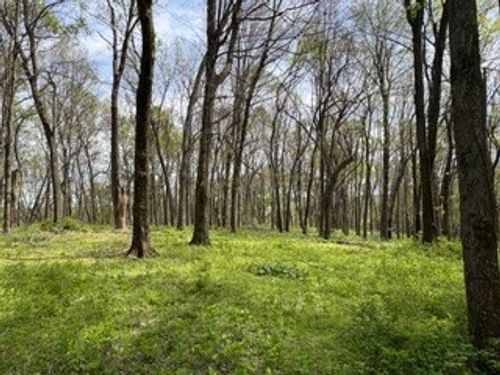 0 Center Star Rd, Columbia, TN, 38401 | Card Image