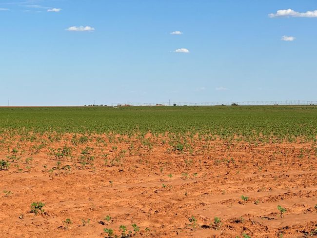 0 Dove, Home with 0 bedrooms, 0 bathrooms and null parking in Ropesville TX | Image 10