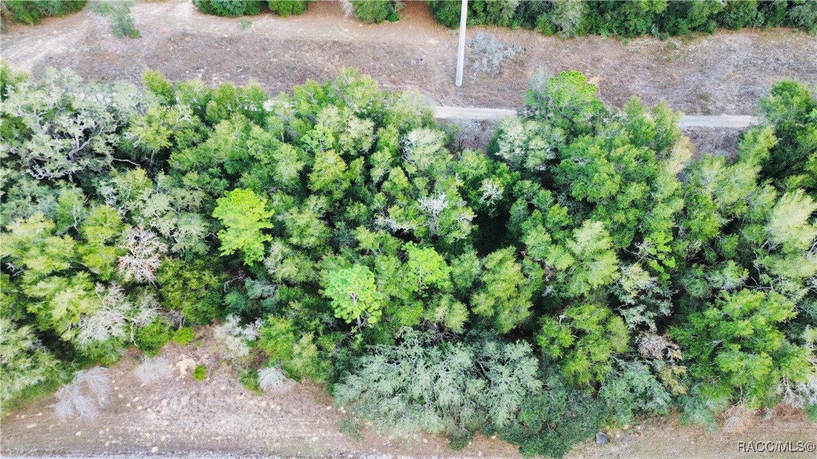 Land in Citrus Springs 2