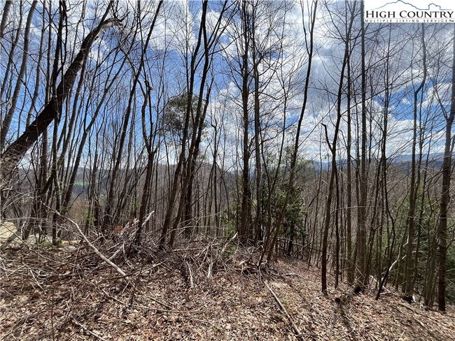 4 Sugar Hill Ln, Home with 0 bedrooms, 0 bathrooms and null parking in Sugar Grove NC | Image 9