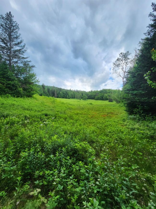 The property just goes and goes. | Image 54