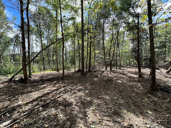 621 Point Pleasant Rd, House other with 2 bedrooms, 1 bathrooms and null parking in BLAND VA | Image 21