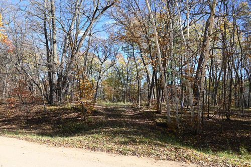 39906 Pine Island Point Dr, Browerville, MN, 56438 | Card Image