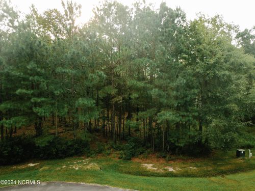 3 Alexander Dr, Belhaven, NC, 27810 | Card Image