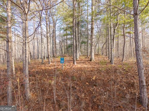 LOT 186 Harris Ridge Ln, Ellijay, GA, 30536 | Card Image