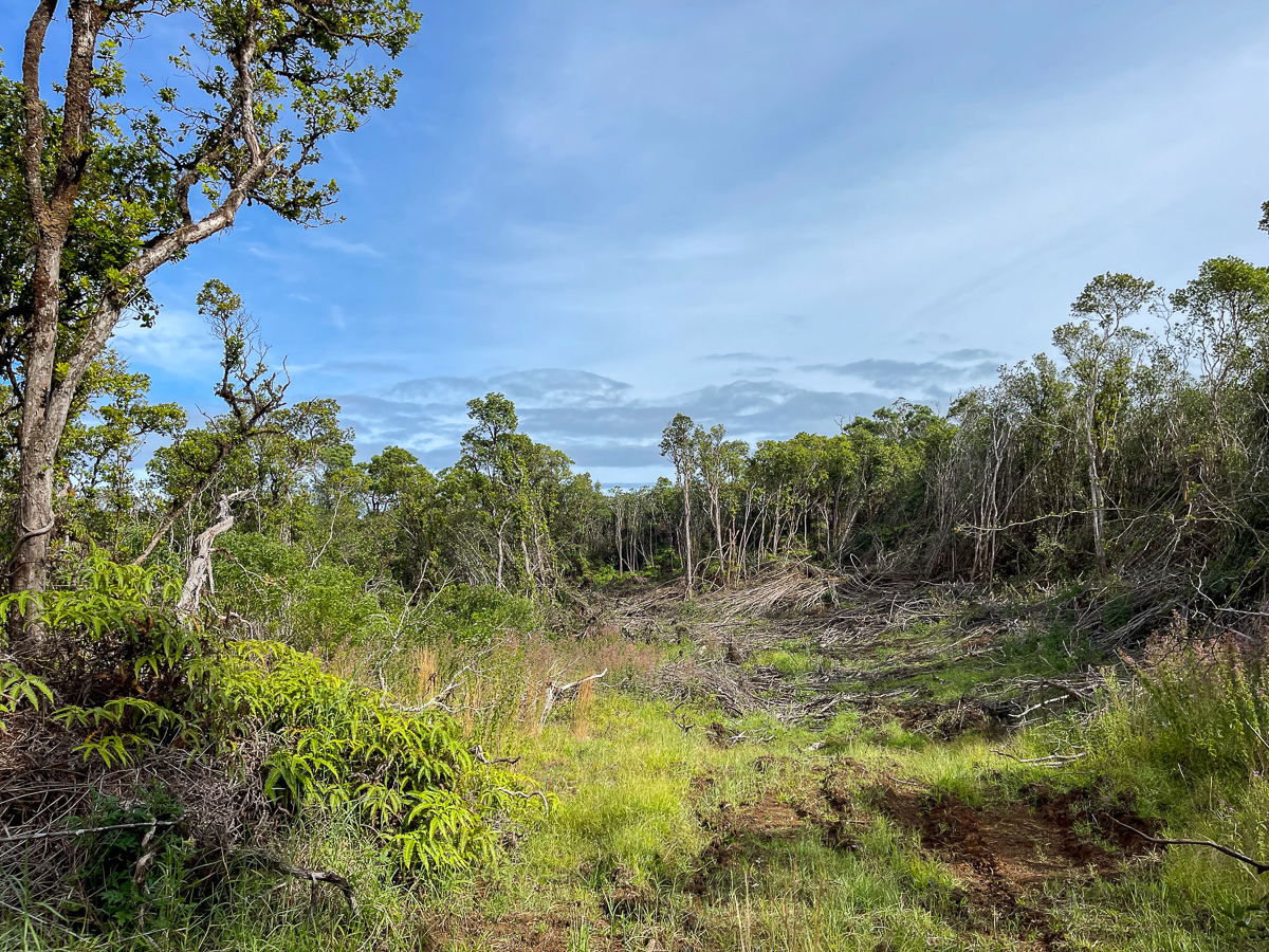 Land in Papaaloa 3