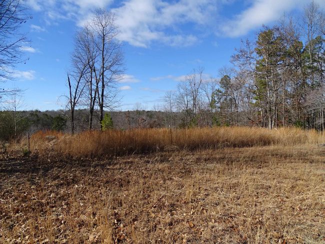 1163 Fee Hollow Ter, House other with 4 bedrooms, 3 bathrooms and null parking in Yellville AR | Image 28