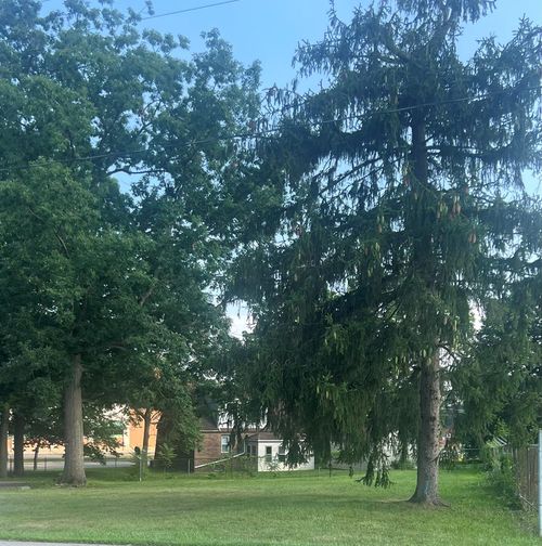 0 Grace St, Mansfield, OH, 44902 | Card Image