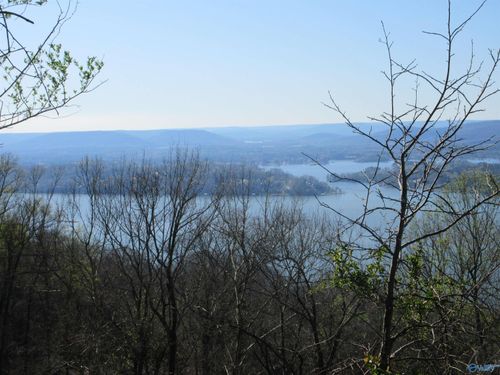 1960 County Road 223, Dutton, AL, 35744 | Card Image