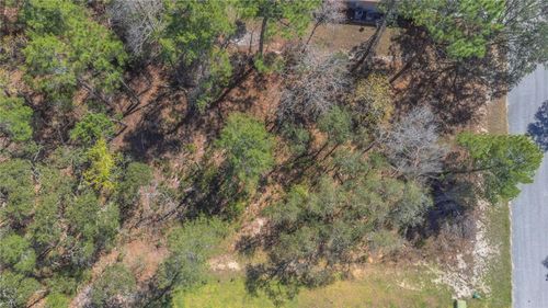 16 Iberis Court, Homosassa, FL, 34446 | Card Image