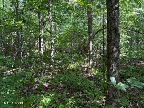 Lot 18 Laurel Loop, Monterey, TN, 38574-7104 | Card Image