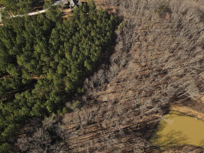 80 High Point Ln, Home with 0 bedrooms, 0 bathrooms and null parking in Jasper TN | Image 72