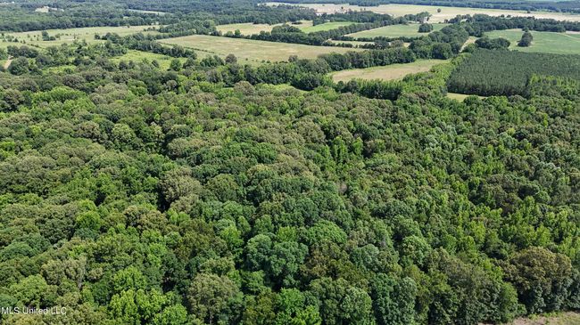 dji_fly_20240611_153614_0073_17181379461 | Image 15