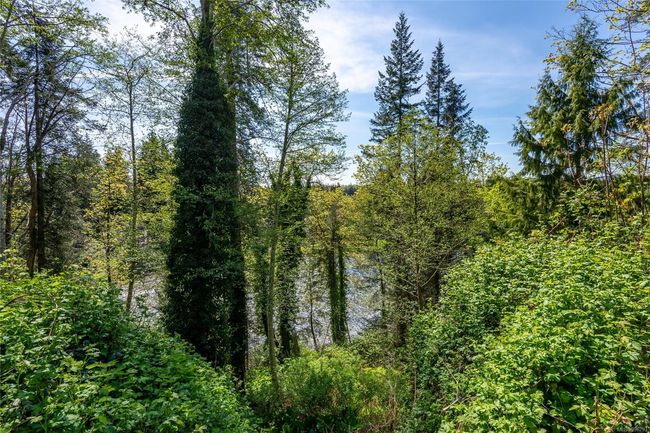 2323 Steelhead Rd, House other with 3 bedrooms, 1 bathrooms and 4 parking in Campbell River BC | Image 10