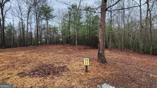 11 Arbor Creek Trl, Mineral Bluff, GA, 30559 | Card Image