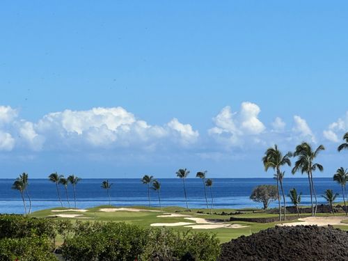 68-1051 Honokaope Way, KAMUELA, HI, 96743-8605 | Card Image