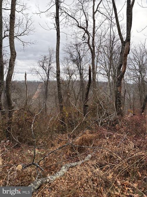 PCL 19, Section 9 Dehaven Road, CAPON BRIDGE, WV, 26711 | Card Image