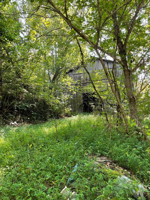 1490 Bruner Grove Rd, Bybee, TN, 37713-2418 | Card Image