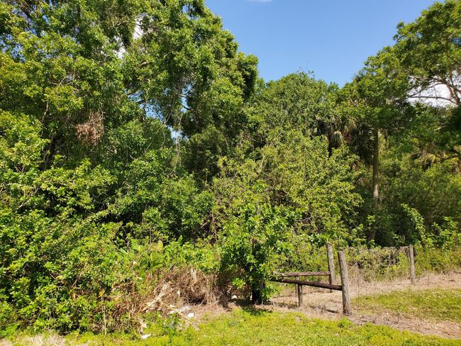 6805 Ne 2 Nd St, Home with 0 bedrooms, 0 bathrooms and null parking in Okeechobee FL | Image 5