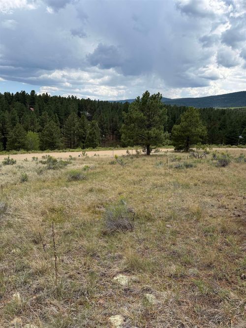 1217 Colonial Trail, Angel Fire, NM, 87710 | Card Image