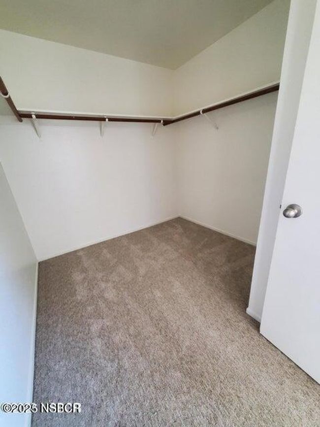 Closet Cypress | Image 4